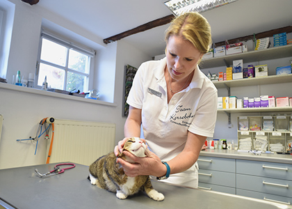 23 tierarzt kersebohm luenen dortmund bochum nrw